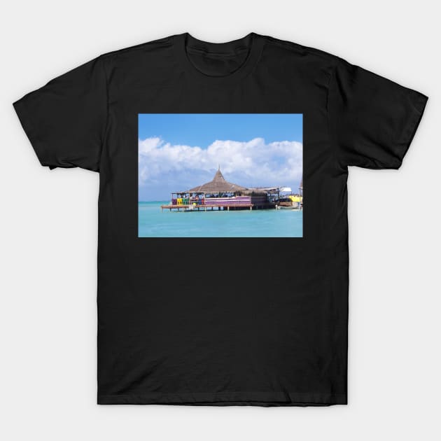 Aruba T-Shirt by wildmagnolia